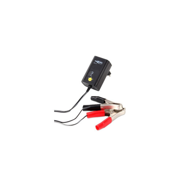 Ansmann ALCS 2-12/0.4 Ladegerät – Kompakt, sicher & vielseitig für Bleiakkus